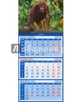 Картинка к книге Календарь квартальный на магните 110х245 - Календарь квартальный на магните 2016. Год обезьяны. Малыш орангутанг (34620)