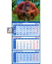 Картинка к книге Календарь квартальный на магните 110х245 - Календарь квартальный на магните  2016. Год обезьяны. Симпатичный орангутанг (34623)