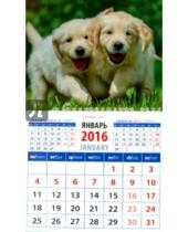 Картинка к книге Календарь на магните  94х167 - Календарь на магните 2016. Забавные щенки (20613)