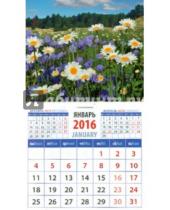 Картинка к книге Календарь на магните  94х167 - Календарь на магните 2016. Пейзаж с ромашками