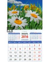 Картинка к книге Календарь на магните  94х167 - Календарь магнитный 2016. Ромашки (20625)