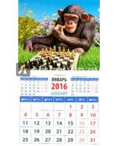 Картинка к книге Календарь на магните  94х167 - Календарь на магните на 2016 год. Год обезьяны. Шимпанзе - шахматист (20628)