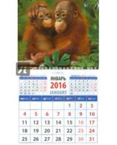 Картинка к книге Календарь на магните  94х167 - Календарь на магните 2016. Год обезьяны. Маленькие орангутанги (20629)