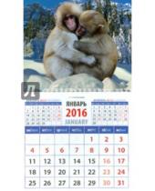 Картинка к книге Календарь на магните  94х167 - Календарь на магните 2016. Год обезьяны. Снежные макаки (20631)