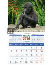 Картинка к книге Календарь на магните  94х167 - Календарь на магните 2016. Год обезьяны. Детеныш гориллы (20632)