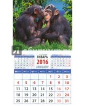 Картинка к книге Календарь на магните  94х167 - Календарь на магните 2016. Год обезьяны. Два шимпанзе (20633)