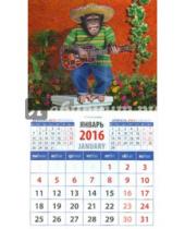 Картинка к книге Календарь на магните  94х167 - Календарь на магните 2016. Год обезьяны. Шимпанзе-мексиканец