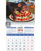 Картинка к книге Календарь на магните  94х167 - Календарь на магните 2016. Год обезьяны. Шимпанзе с тортом (20637)