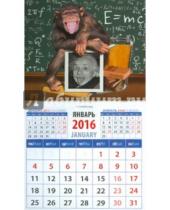 Картинка к книге Календарь на магните  94х167 - Календарь на магните 2016. Год обезьяны. Шимпанзе  с портретом Эйнштейна (20638)