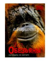Картинка к книге Календари 2016 - Календарь на магните. 2016 Год обезьяны (прямоугольный)