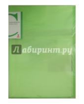 Картинка к книге Папки с прозрачными файлами - Папка с файлами  (20 файлов, А4, зеленый) (CY20TM-G)