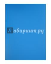 Картинка к книге Папки с прозрачными файлами - Папка с файлами (10 файлов, синяя) (CY1421-B)