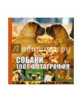 Картинка к книге АСТ - Собаки. 1001 фотография