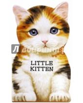 Картинка к книге Giovanni Caviezel - Little kitten