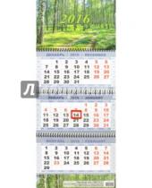 Картинка к книге Календари 2016 - Квартальный календарь на 2016 год "Березовая роща" (КВК-12)