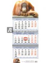 Картинка к книге Календари 2016 - Квартальный календарь на 2016 год "Орангутан" (КВК-9)