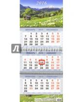 Картинка к книге Календари 2016 - Квартальный календарь на 2016 год "Ромашковое поле" (КВК-1)