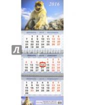 Картинка к книге Календари 2016 - Квартальный календарь на 2016 год "Символ года" (КВК-6)
