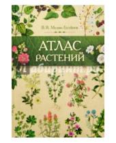 Картинка к книге Владимирович Валерий Мелик-Гусейнов - Атлас растений. Растения в народной медицине России и сопредельных государств