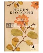 Картинка к книге Александрович Иосиф Бродский - Полдень в комнате