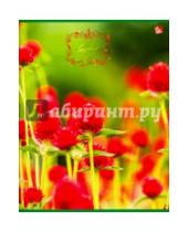 Картинка к книге Тетради - Тетрадь 80 листов "Живописные цветы", 5 видов (ТК804991)