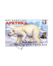Картинка к книге Мир животных/раскраска - Мир животных: Арктика (раскраска)