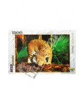 Картинка к книге Animal collection - Step Puzzle-1500 83013 Леопард