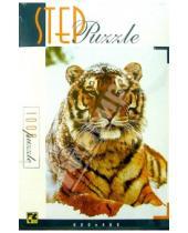Картинка к книге Степ Пазл - Step Puzzle-1000 79012 Тигр на снегу