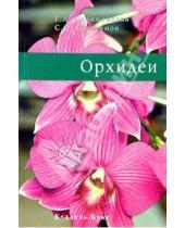 Картинка к книге С. О. Герасимов Л., Г. Коломейцева - Орхидеи