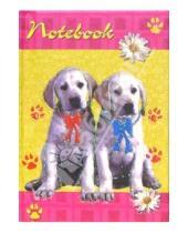 Картинка к книге Феникс+ - Notebook 3721 (собаки в бантах)