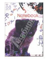 Картинка к книге Феникс+ - Notebook 3724 (черный котенок)