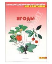 Картинка к книге Наглядно-дидактическое пособие - Мир в картинках: Ягоды садовые (3-7лет)