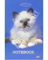Картинка к книге Канцелярские товары - Notebook А5 120 листов 2811 Rachael Hale (кот)