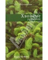 Картинка к книге Суреновна Лилиан Плотникова - Хвойные растения