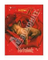 Картинка к книге Тетради - Книга для записей 64 листа Рыжий котенок (КЗБ164714)
