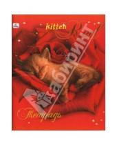 Картинка к книге Тетради - Тетрадь 48 листов клетка (ТКБ8481376) Рыжий котенок