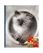 Картинка к книге Pioneer - Фотоальбом "Fluffy kittens" (11614 LM-SA10)