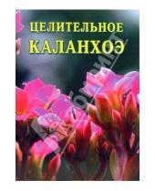 Картинка к книге Иван Дубровин - Целительное каланхоэ
