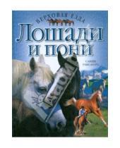Картинка к книге Санди Рансфорд - Лошади и пони. Верховая езда
