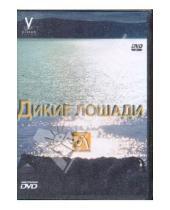 Картинка к книге Амальгама - Дикие лошади (DVD)