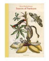 Картинка к книге Katharina Schmidt-Loske - Maria Sibylla Merian, Insects of Surinam
