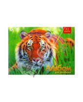 Картинка к книге Альбомы - Альбом для рисования 32 листа "Тигр в траве" (А32413)