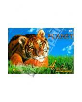 Картинка к книге Альбомы - Альбом для рисования. 16 листов "Добрый тигр" (А16431)