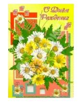 Картинка к книге Стезя - 5Т-019/День рождения/открытка-вырубка двойная