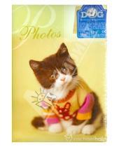 Картинка к книге Big Dog - Фотоальбом на 100 фотографий "Lovely kittens" (AG46100)