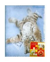 Картинка к книге Pioneer - Фотоальбом на 100 фотографий "Tiger", ассортимент (LM-4R100)