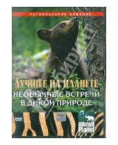 Картинка к книге Том Мешельски - Лучшее на планете: Необычные встречи в дикой природе (DVD)