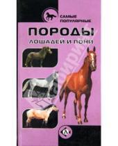 Картинка к книге Самые популярные... - Самые популярные породы лошадей и пони