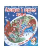 Картинка к книге В. Степанов - Смотрит в зеркало зима