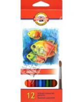 Картинка к книге Цветные карандаши 12 цветов (9-14) - Карандаши цветные, 12 цветов "Рыбки" (акварель) (3716)